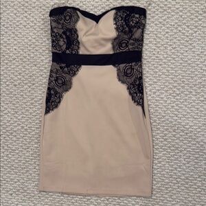 Elegant Black and Cream Lace Dress